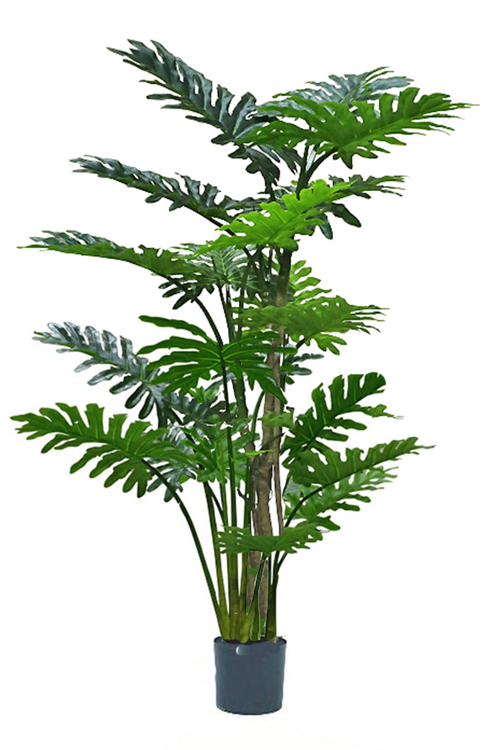 Articial Plants - Philodendron 'giant-leaf' 1.8m delux